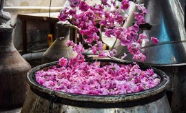 برای ثبت جهانی میراث ناملموس؛