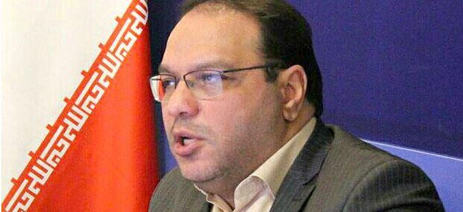 چرا تشکیل سازمان ملی مهاجرت ضرورت دارد؟ محسن نجفی خواه